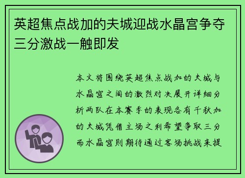 英超焦点战加的夫城迎战水晶宫争夺三分激战一触即发