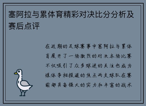 塞阿拉与累体育精彩对决比分分析及赛后点评