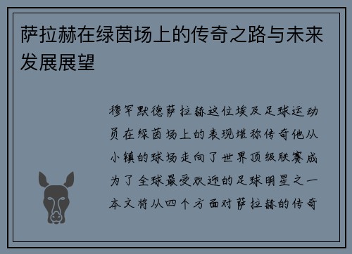 萨拉赫在绿茵场上的传奇之路与未来发展展望