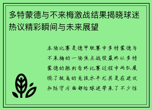 多特蒙德与不来梅激战结果揭晓球迷热议精彩瞬间与未来展望