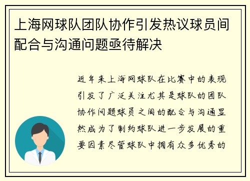 上海网球队团队协作引发热议球员间配合与沟通问题亟待解决