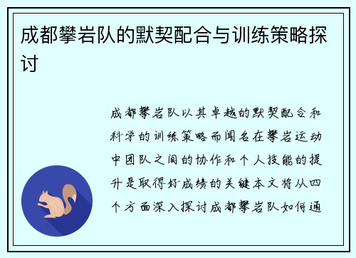 成都攀岩队的默契配合与训练策略探讨