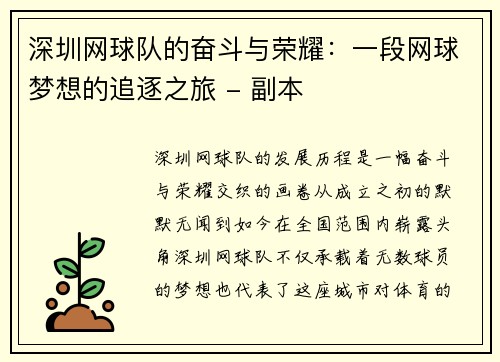 深圳网球队的奋斗与荣耀：一段网球梦想的追逐之旅 - 副本